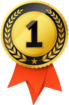 1st Place